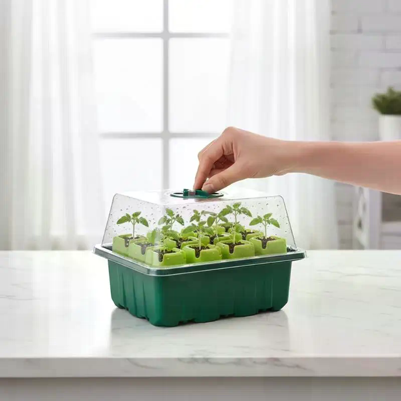Propagation Tray Dome - 1Set Zaad Starter Tray Mini Greenhouse