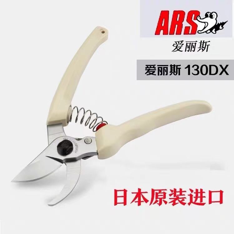 Gardening Tools Japan - Snoeischaar, tuingereedschap, boom- en bloemsnijden, ARS