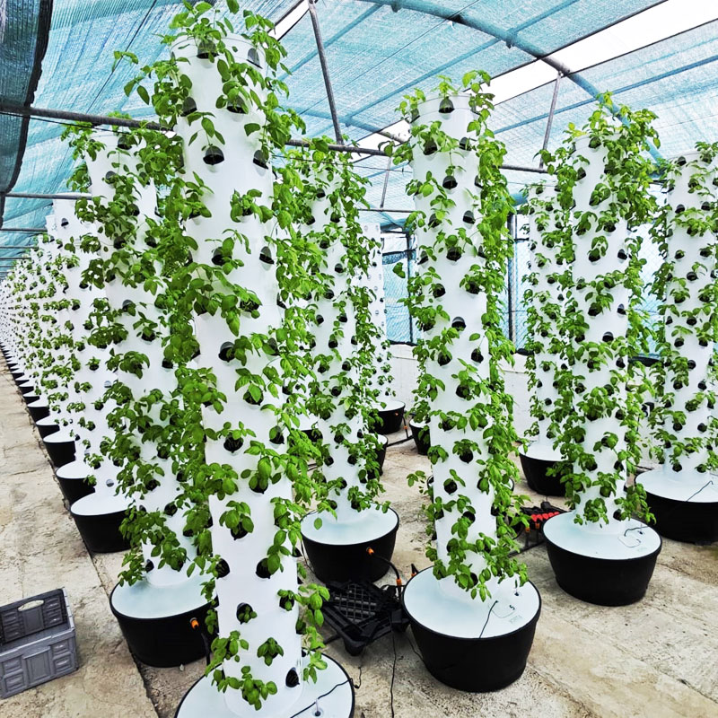 Hydroponic System - Hoogwaardig, eenvoudig te installeren, klein verticaal