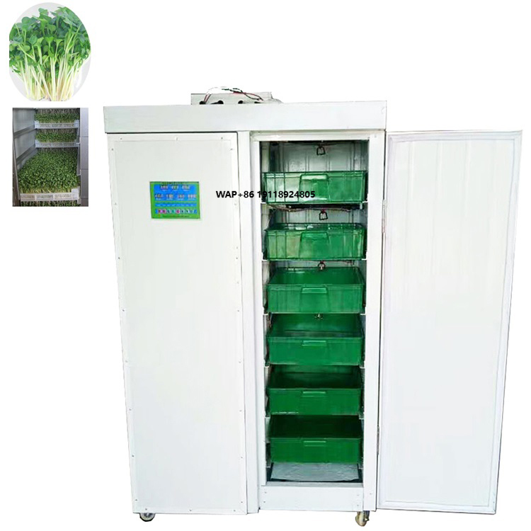 Hydroponic System - Indoor Hydroponische Bonen-Knoflook Kweeksystemen Rota Garden