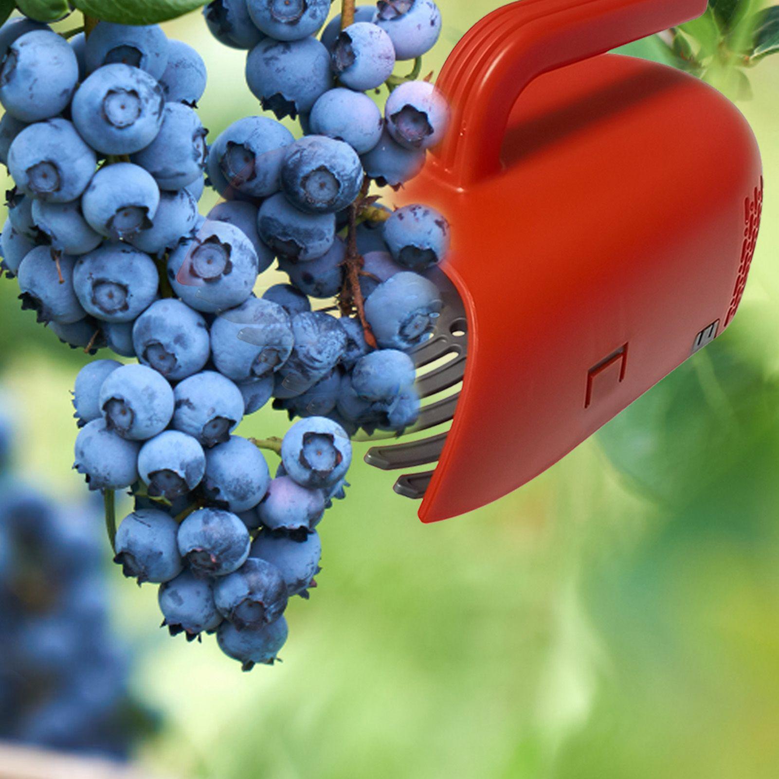 Gardening Tools Rake - Berry Harvester Scoop Ergonomisch handvat Blueberry