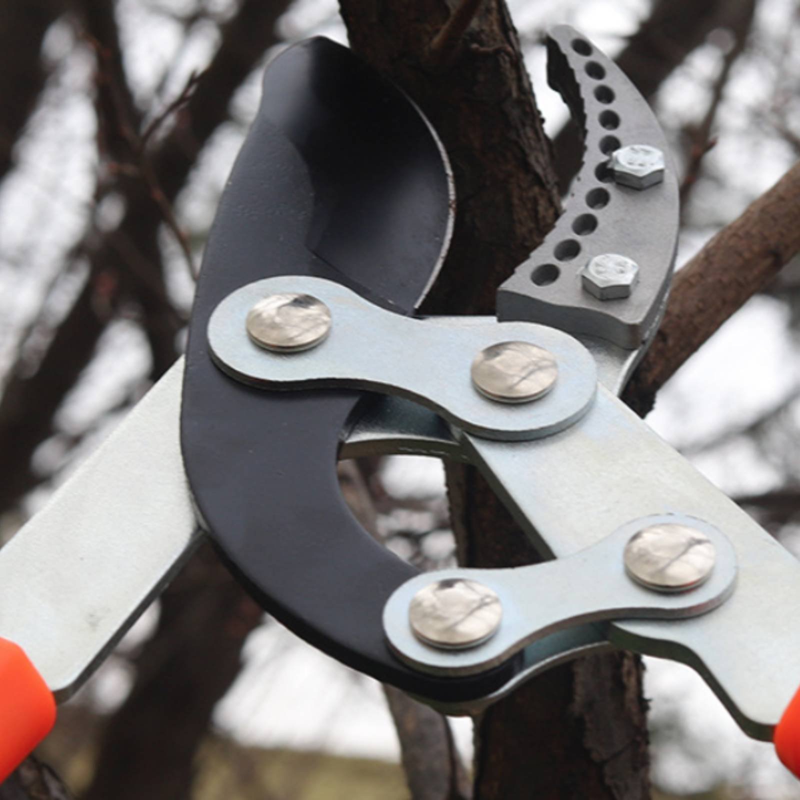 Gardening Tool - Telescopische takkenknippers Scherp mes Robuuste boomknippers