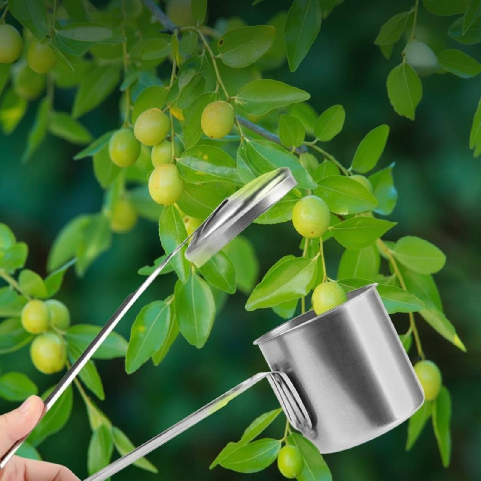 Gardening Tools Uses - Cup Fruit Picker Roestvrijstalen fruitplukgereedschap Tuinuitrusting