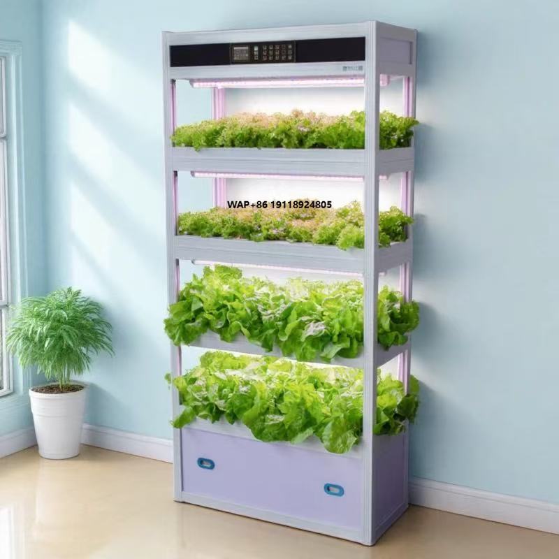 Indoor intelligent hydroponisc - Hydroponic System recensie en prijs