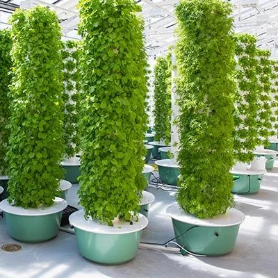 Aeroponics-torenkweeksystemen  - Hydroponic System recensie en prijs