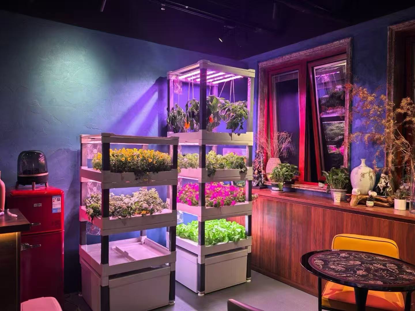 Nieuw automatisch verticaal hy - Hydroponic System recensie en prijs