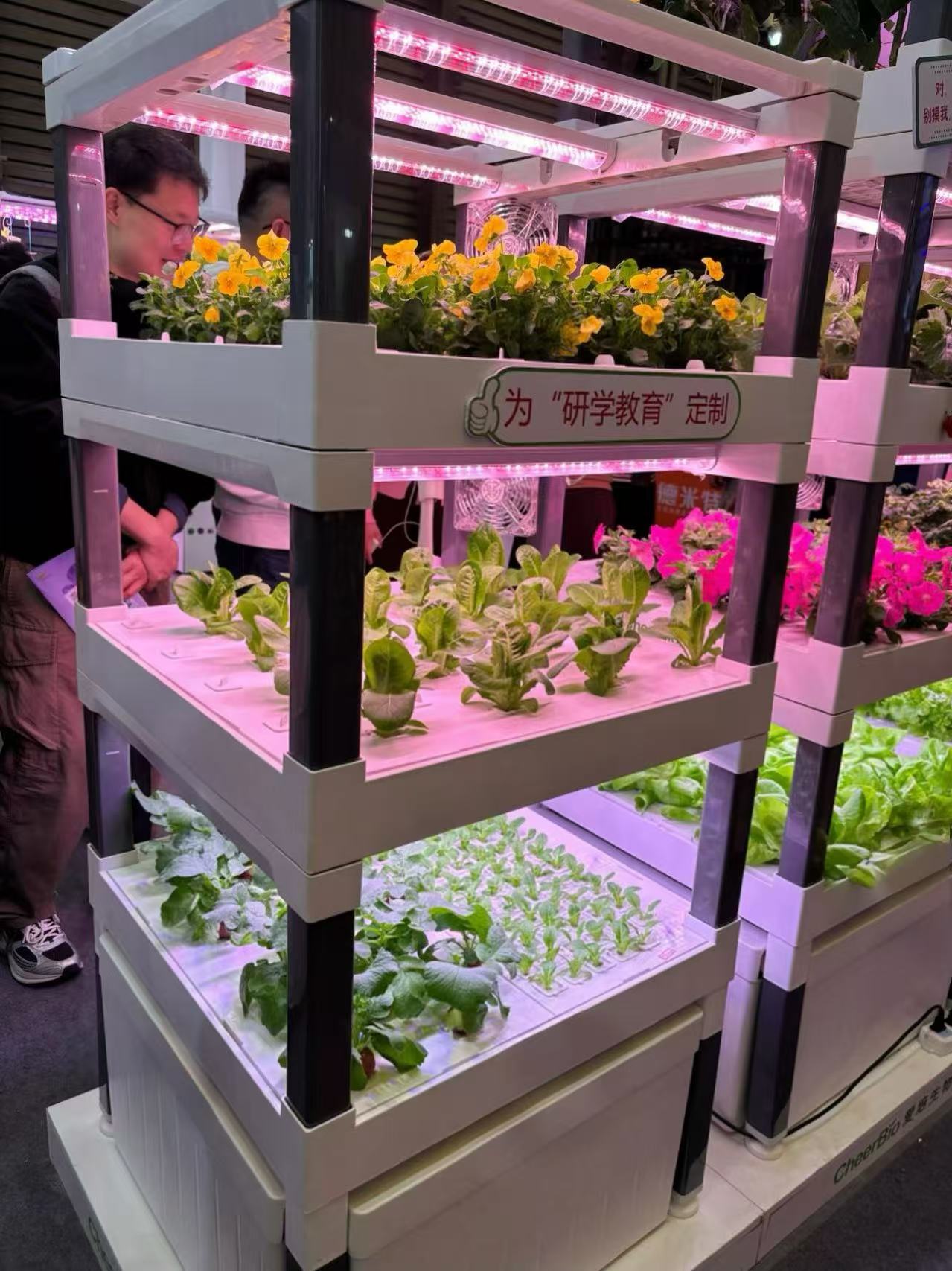 Nieuw automatisch verticaal hy - Hydroponic System recensie en prijs