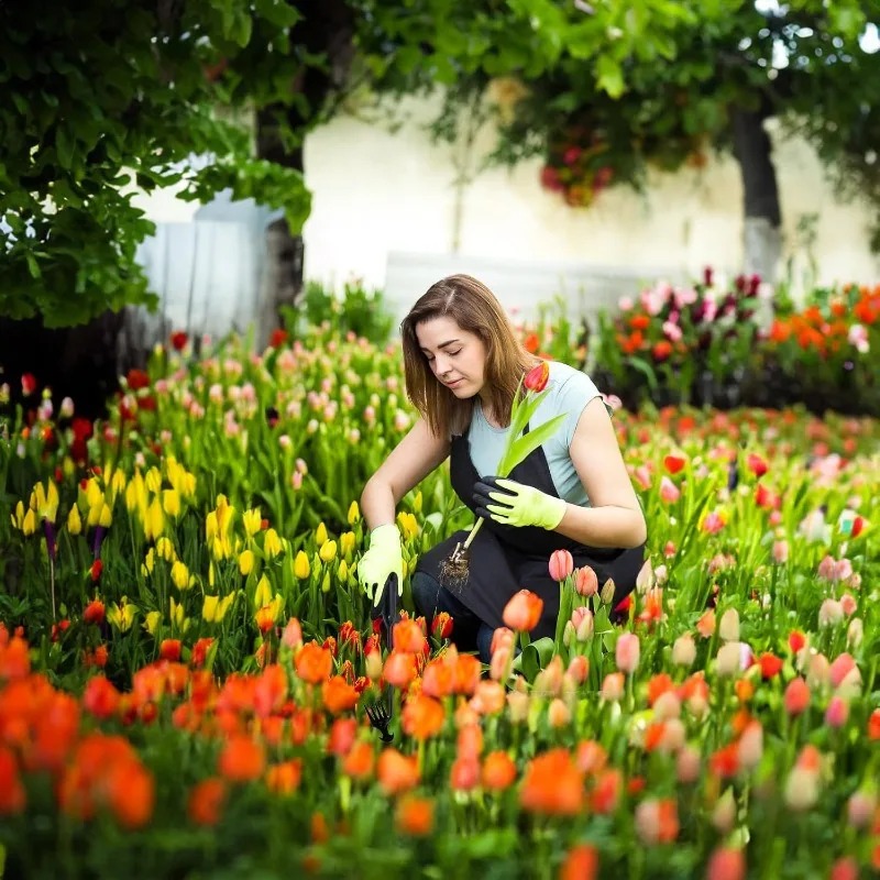 2-in-1 Tuinhark Handmatige Zaa - Gardening Tools Rake recensie en prijs