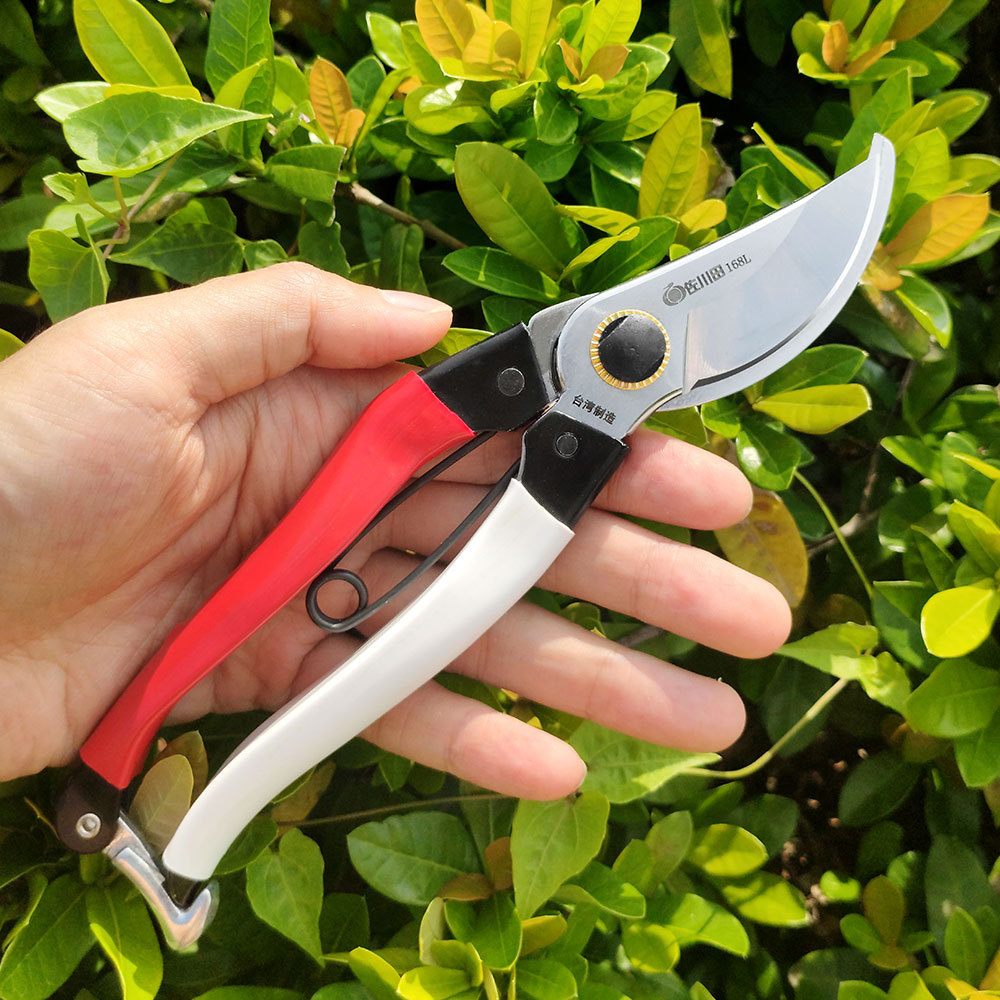 Taiwan Sakawada 168l Tuingeree - Gardening Tools Japan recensie en prijs