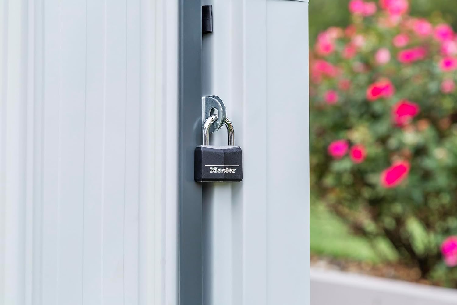 Compacte gegalvaniseerde stale - Gardening Tool recensie en prijs