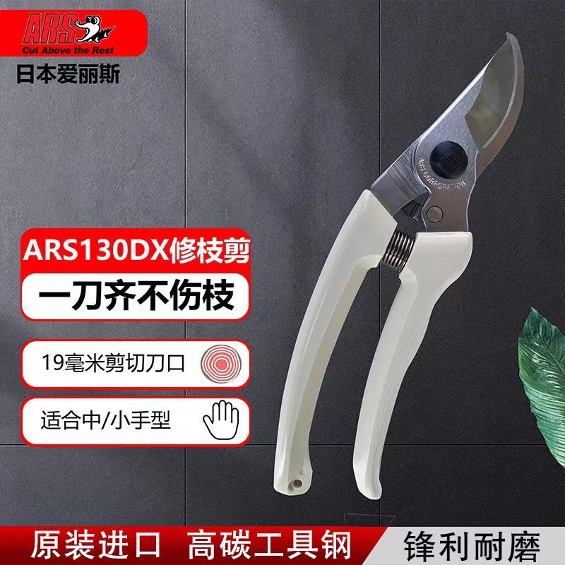 Snoeischaar, tuingereedschap,  - Gardening Tools Japan recensie en prijs