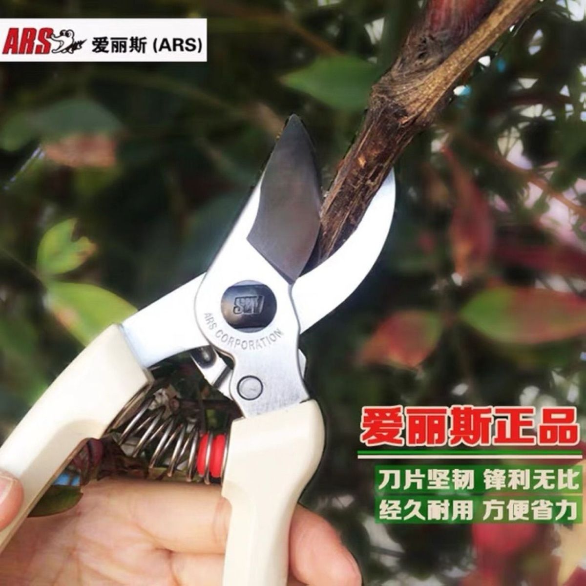 Snoeischaar, tuingereedschap,  - Gardening Tools Japan recensie en prijs