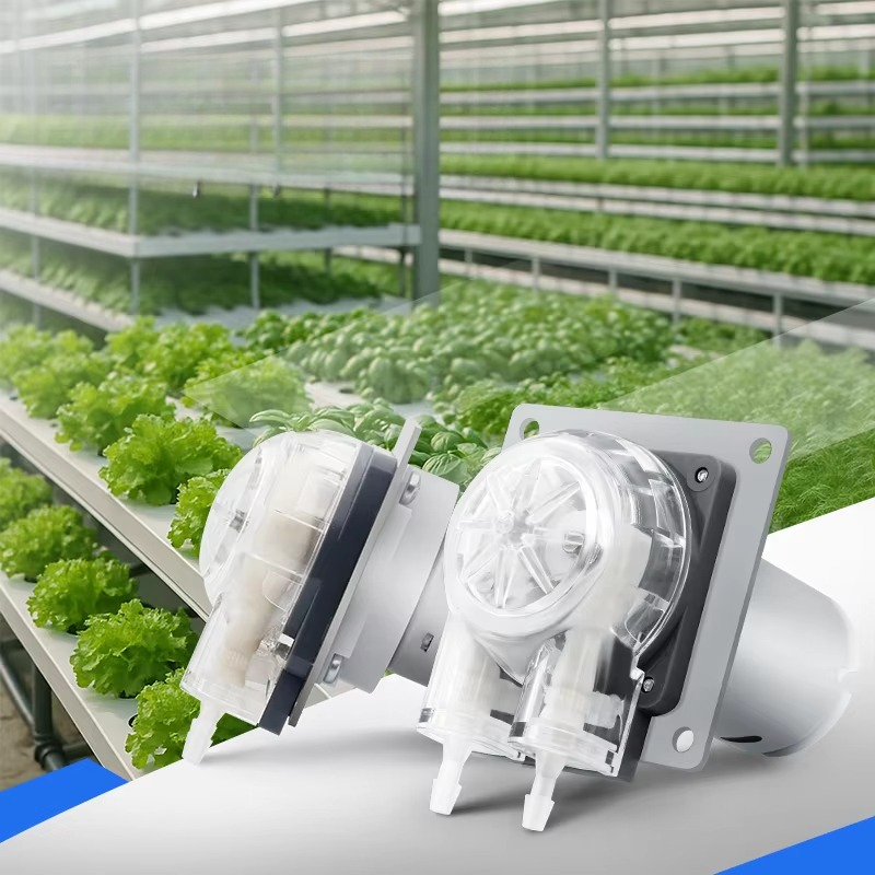 Geluidsarme 12V 24V DC motor 2 - Hydroponic System recensie en prijs