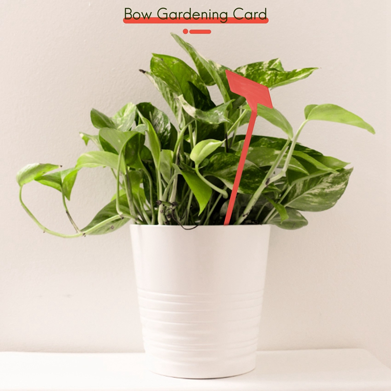 ABYP Tuinen Plantgereedschap 5 - Gardening Tools Types recensie en prijs