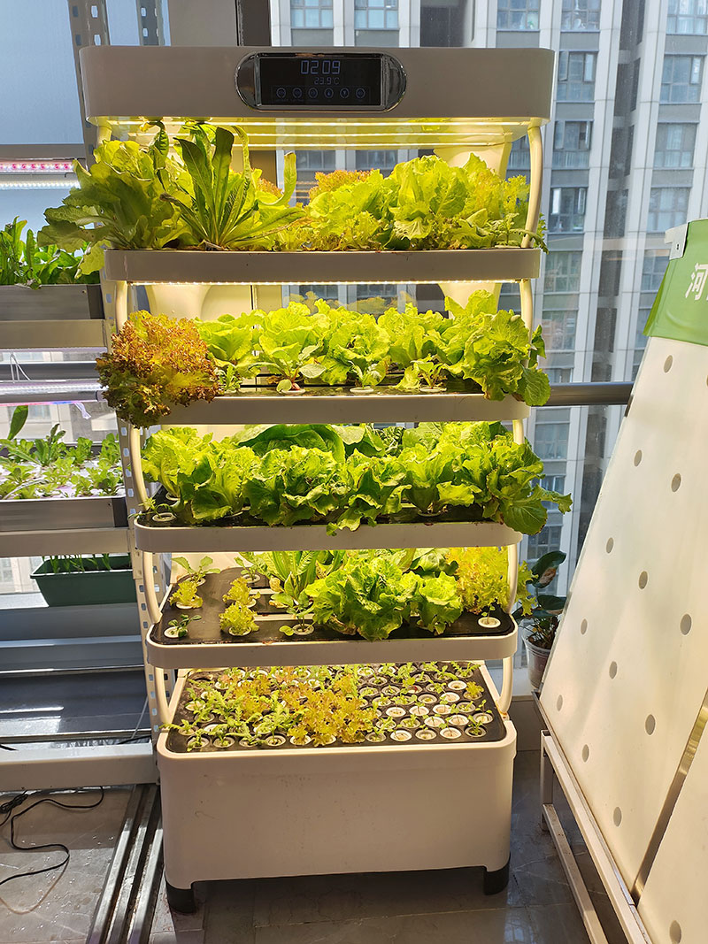 c Landbouwmachine voor het kwe - Hydroponic System recensie en prijs