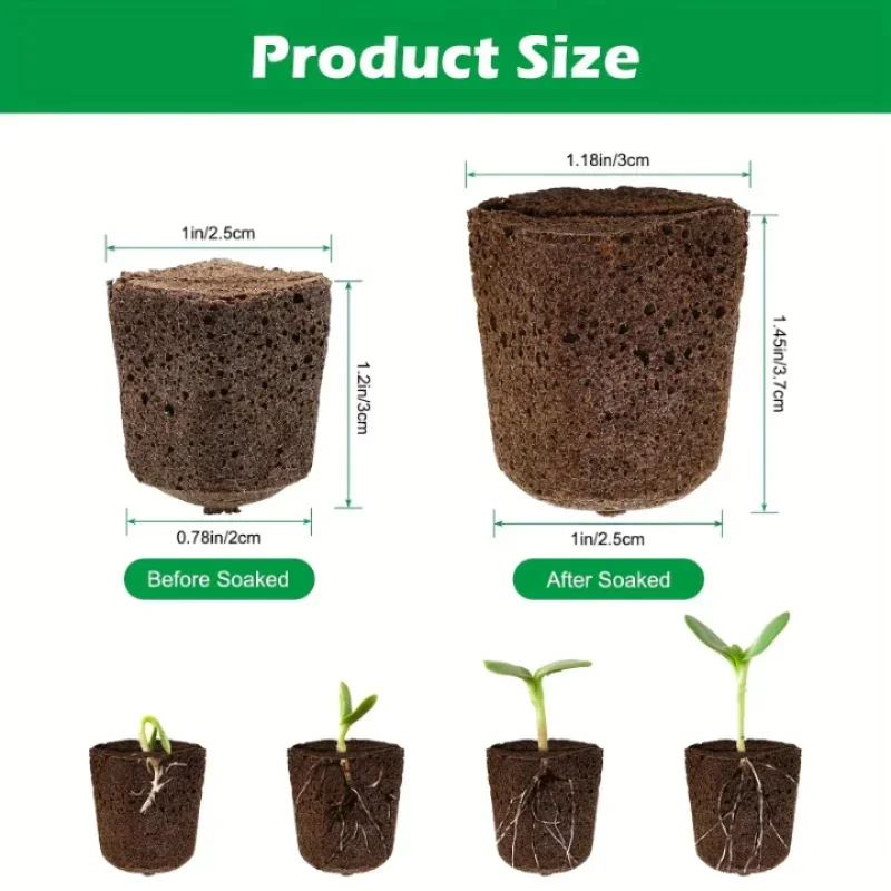 Zaailingstartset met sponsjes  - Hydroponic System recensie en prijs