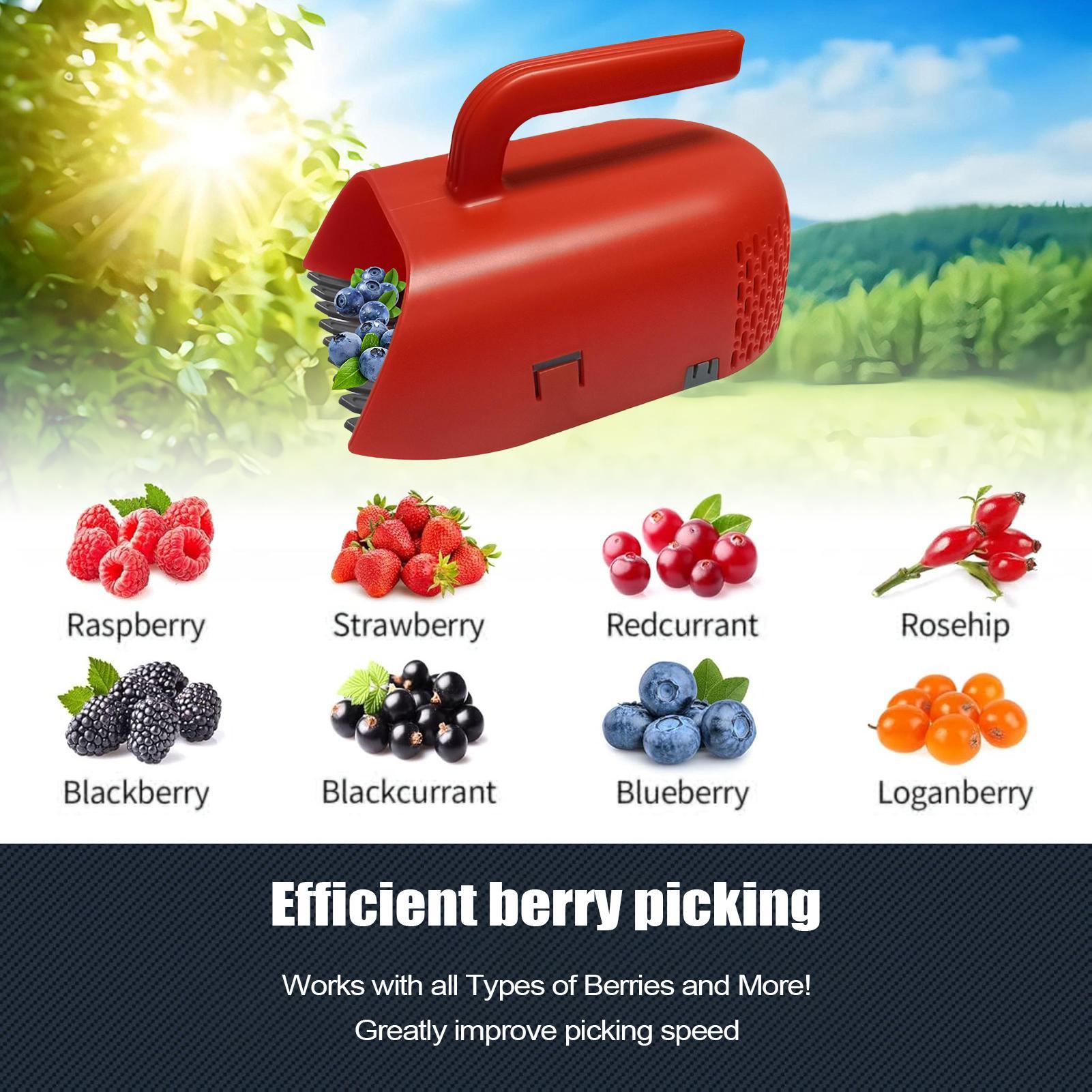 Berry Harvester Scoop Ergonomi - Gardening Tools Rake recensie en prijs