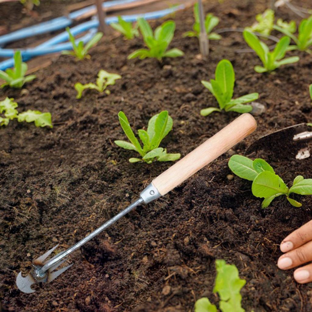 Tuinonkruidgereedschap Tuinier - Gardening Tools Hoe recensie en prijs