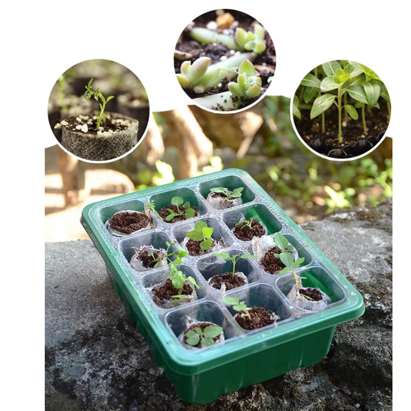 Hete Aanbieding 6/12 Gaten Zaa - Propagation Tray Dome recensie en prijs