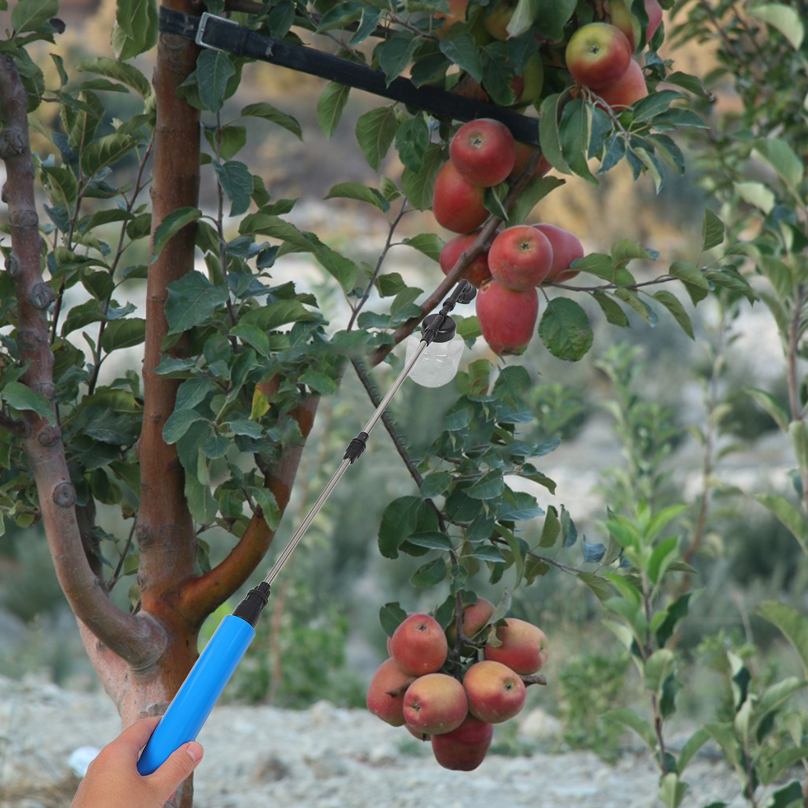 Handmatige bestuiverspuit voor - Gardening Tools Uses recensie en prijs
