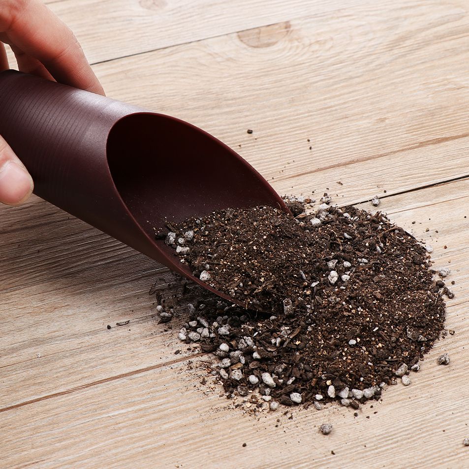 1 stuk plastic grondschepbeker - Gardening Tools Hoe recensie en prijs